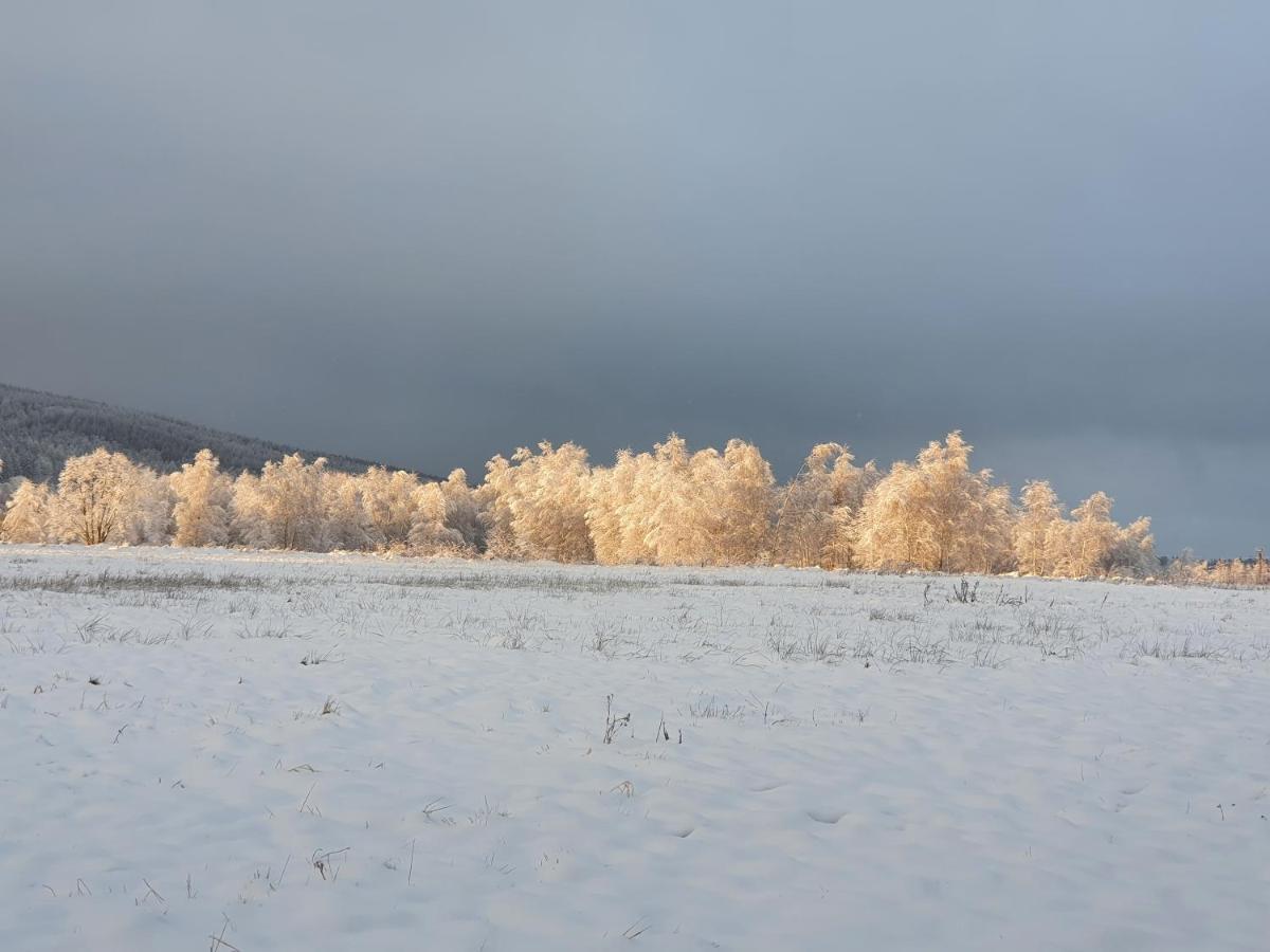 Apartizer Swieradow Zdroj Pobiedna Luaran gambar