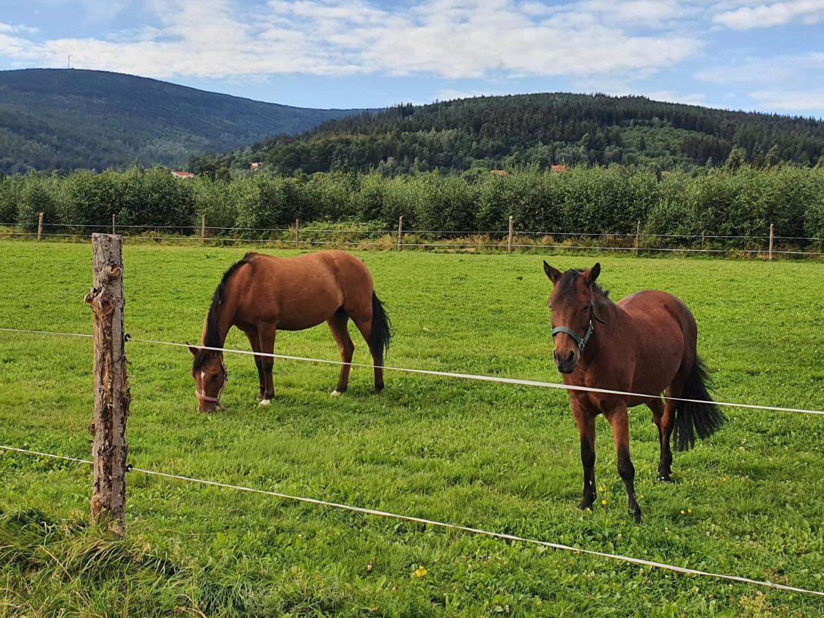 Apartizer Swieradow Zdroj Pobiedna Luaran gambar